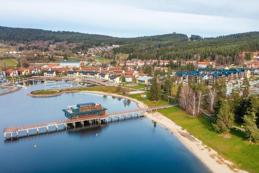 I313 Molo Lipno With Private Wellness 公寓