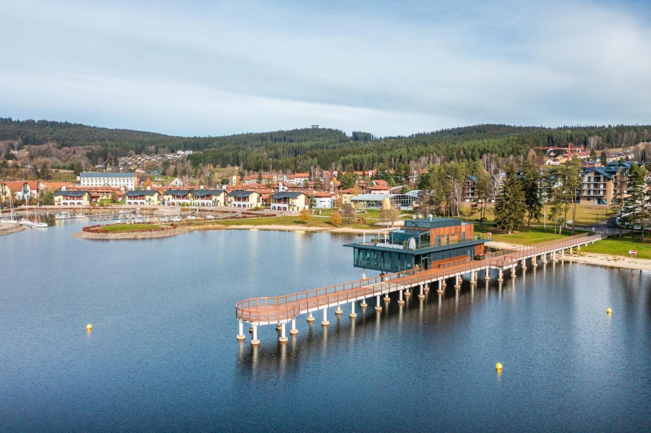 I313 Molo Lipno With Private Wellness Apartment